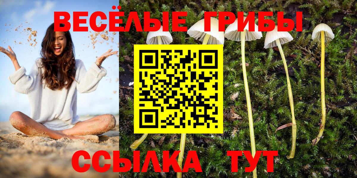 Галлюциногенные грибы Psilocybine cubensis Новоуральск